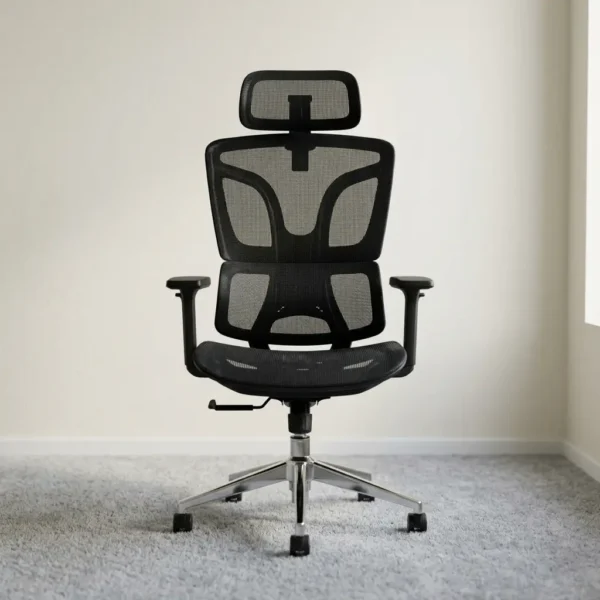 Mesh orthopedic office chair featuring a breathable black mesh high-backrest with dual ergonomic lumbar support, an adjustable headrest, T-shaped armrests, a cushioned mesh seat, and a polished chrome five-star base with caster wheels.
